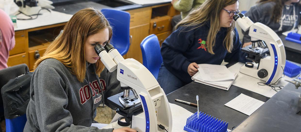 Students working with lab equipment